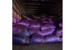 Siskiyou County Authorities Intercept Large Shipment of Illegally Grown Cannabis