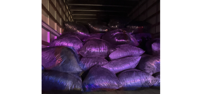 Siskiyou County Authorities Intercept Large Shipment of Illegally Grown Cannabis