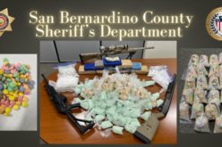 Gang and Narcotics Division Seizes Illegal Drugs and Guns