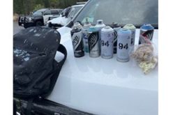 Vandalism arrest in El Dorado County