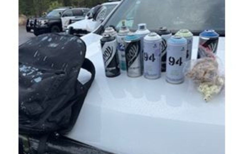 Vandalism arrest in El Dorado County