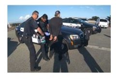 Marina Police Apprehend Machete-Wielding Suspect