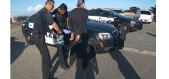 Marina Police Apprehend Machete-Wielding Suspect