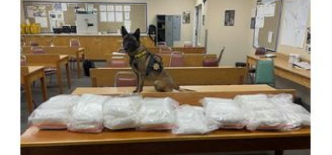 K9 Unit makes Large Methamphetamine Arrest