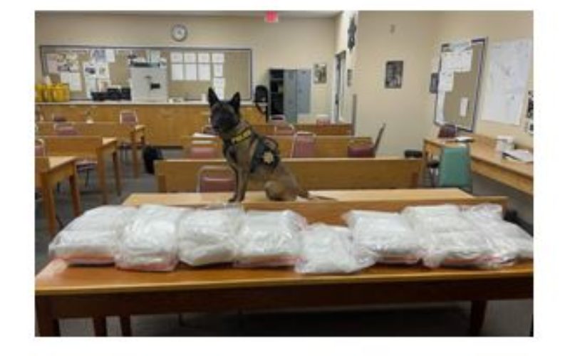 K9 Unit makes Large Methamphetamine Arrest