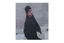 Culver City PD: Investigators Seek Public Assistance to Identify Sexual Assault Suspect