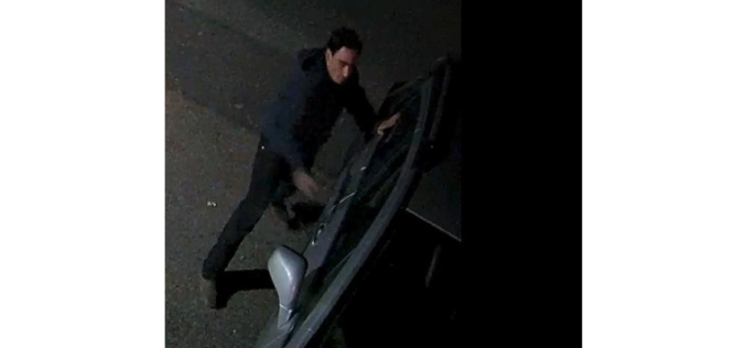 Tuolumne County Sheriff’s Office Seeks Help from Public in Identifying Vandalism Suspect