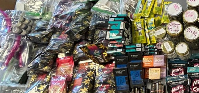 Corona Police Department Finds $35,000 Worth of Cannabis