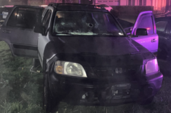 Two Arrested After Driver Allegedly Leads Police on Pursuit in Stolen Vehicle