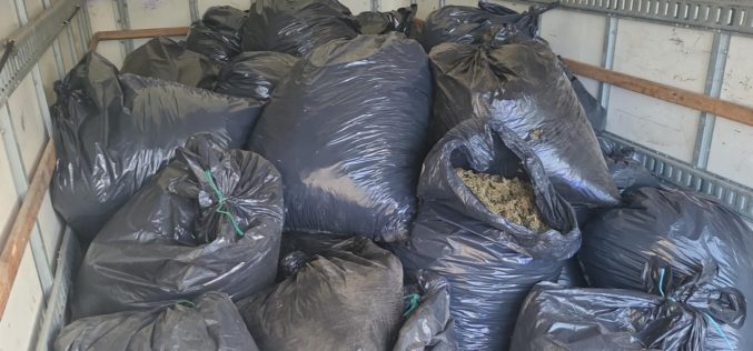 Box Truck Driver Cited for Possession of Unlawfully Cultivated Cannabis in Siskiyou County