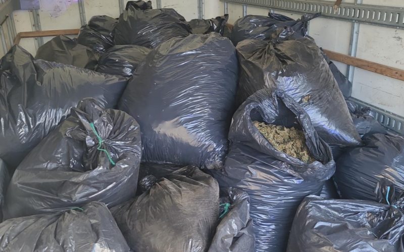 Box Truck Driver Cited for Possession of Unlawfully Cultivated Cannabis in Siskiyou County