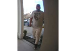 Davis Police Call on Public to Help Identify Package Thief