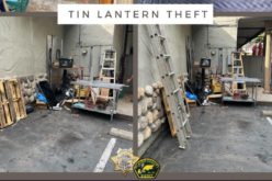 Suspected Thief Arrested for November Theft from Tin Lantern