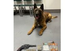 Corning Methamphetamine and Weapons Arrest