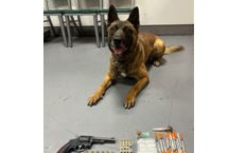 Corning Methamphetamine and Weapons Arrest