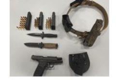 Firearm arrest in Truckee