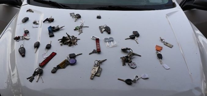 Juveniles Arrested for Allegedly Stealing Vehicles, Keys, Puppy from Delano Auto Shop