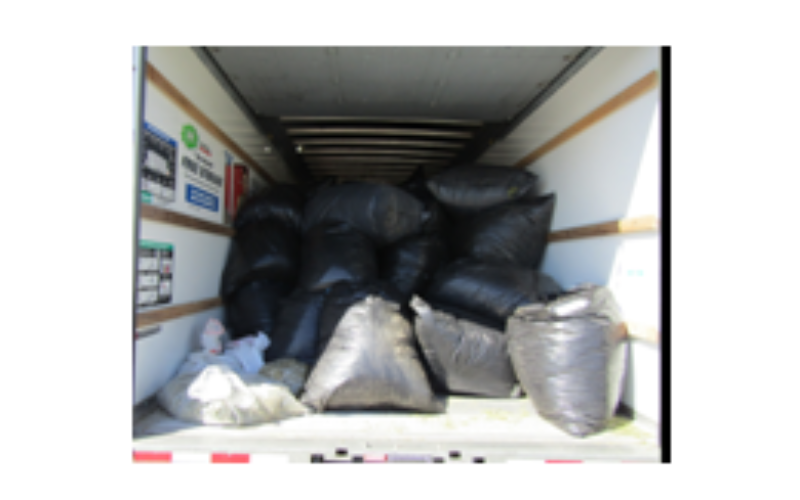 Large Illegal Marijuana Bust in Corning