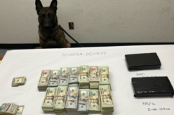 Cocaine, Cash Reportedly Found During Enforcement Stop in Shasta County