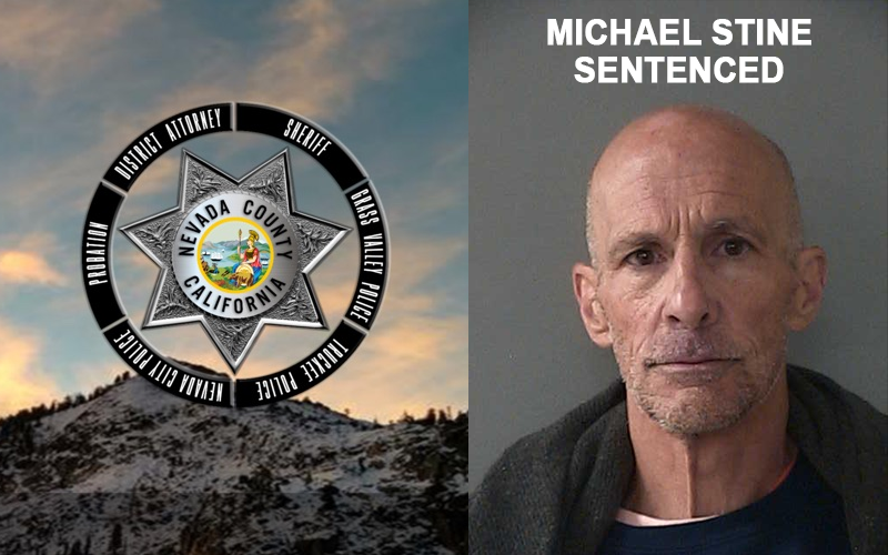 Michael Stine Receives Life Sentence for Murder of Shelby Comeaux II