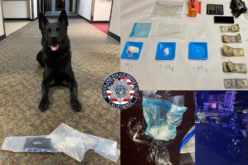 K9 Finds Methamphetamine During Search