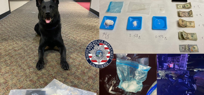 K9 Finds Methamphetamine During Search