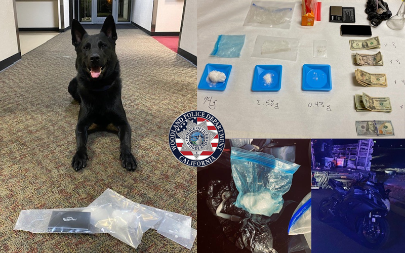 K9 Finds Methamphetamine During Search