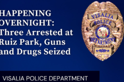 Visalia Police Arrest 3, Seize Guns and Drugs at Ruiz Park