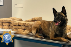 CHP K9 Unit Seizes 100 Pounds of Methamphetamine During Traffic Stop on U.S. 101