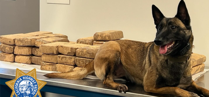 CHP K9 Unit Seizes 100 Pounds of Methamphetamine During Traffic Stop on U.S. 101