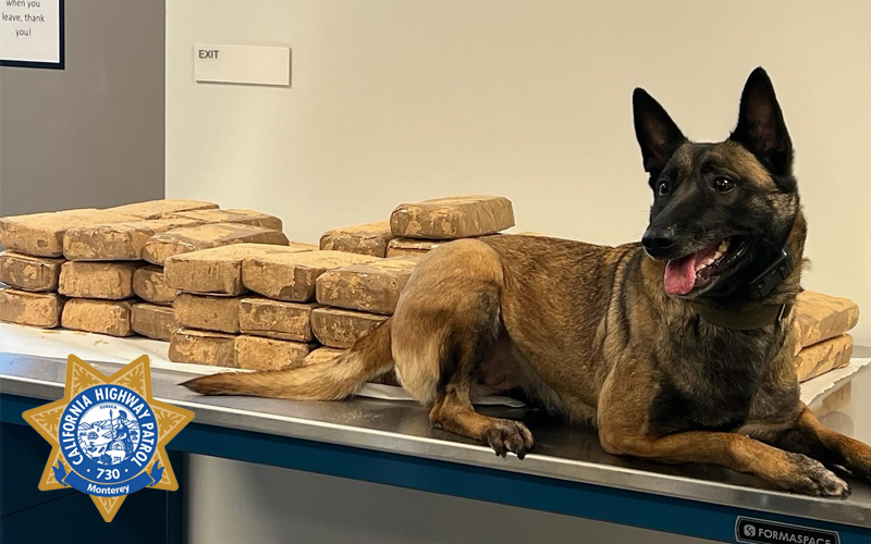 CHP K9 Unit Seizes 100 Pounds of Methamphetamine During Traffic Stop on U.S. 101