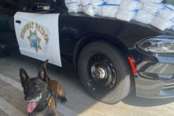 Traffic Stop Results in Arrest of Driver with 100 Pounds of Meth