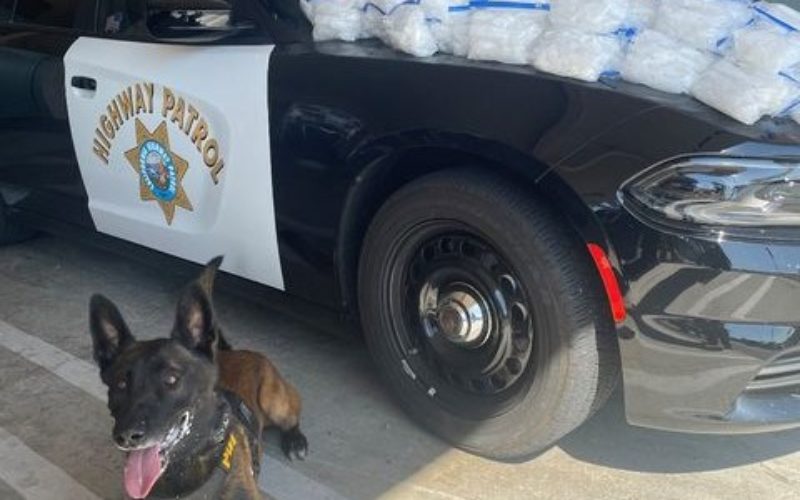 Traffic Stop Results in Arrest of Driver with 100 Pounds of Meth