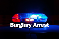 Residential Burglary Arrests in Thousand Oaks