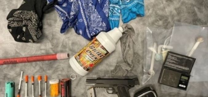 Warrant search leads to discovery of illegal firearm