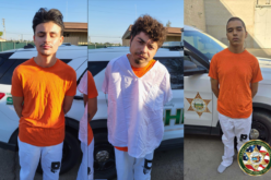 Gang-Related Shooting at Party in Yettem, California, Leaves One Injured; Three Suspects Arrested