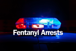 California Highway Patrol Reportedly Seizes Fentanyl Concealed in Shipments of Raw Meat