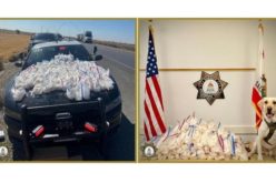 I-5 Meth Seizure: Big Drug Bust on Interstate-5 Near Hood Franklin Road