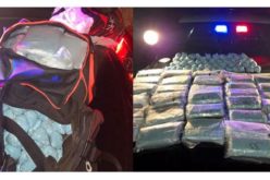 REACT Makes Major Drug Bust Near Airport on I-5