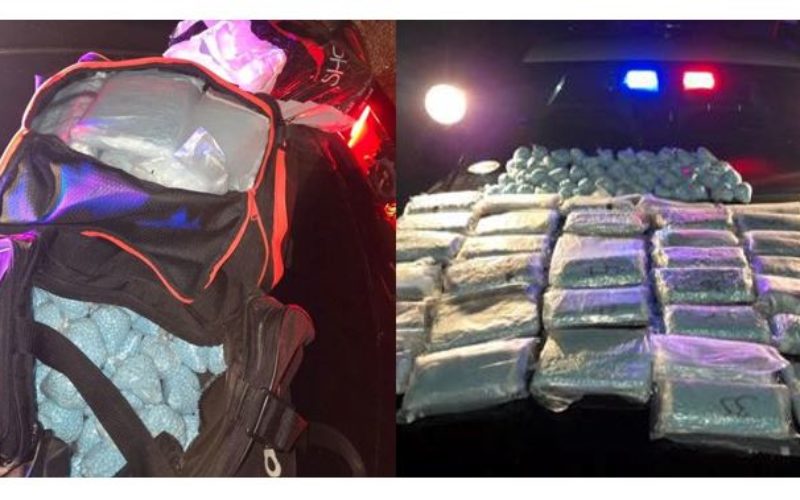 REACT Makes Major Drug Bust Near Airport on I-5