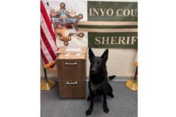 K9s Find Illegal Drugs in Two Separate Incidents