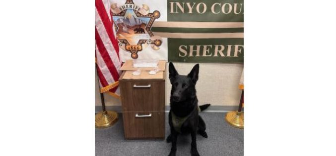 K9s Find Illegal Drugs in Two Separate Incidents