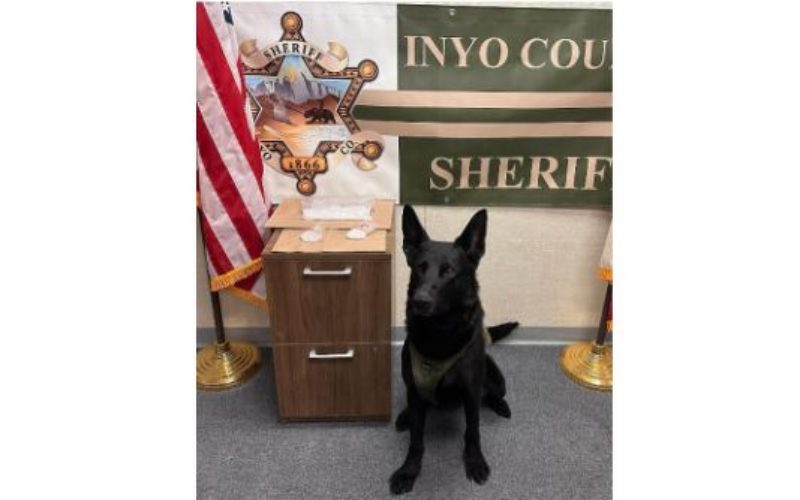 K9s Find Illegal Drugs in Two Separate Incidents