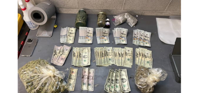 Milpitas: Motorist Pulled Over for Traffic Violations Found to Have Felony Warrant