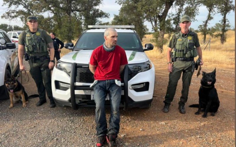 Tehama County K9 Unit:  Sniffing Out Suspects