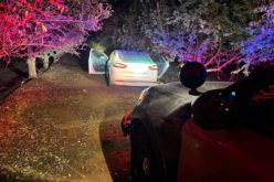 Madera County DUI Suspect Reportedly Crashed into Parked Car, Almond Tree