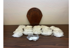 Authorities Reportedly Seize 25 Pounds of Methamphetamine in Drug Trafficking Investigation