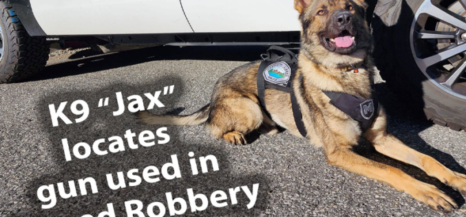 Mammoth Lakes Police K9 Assists in Armed Robbery Investigation and Arrest